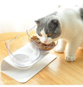 Bowl for cat